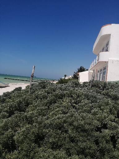 チェレムApartamento 4 El Paraiso De Capitan Fernandoアパートメント エクステリア 写真